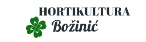 Mišo Božinić logo